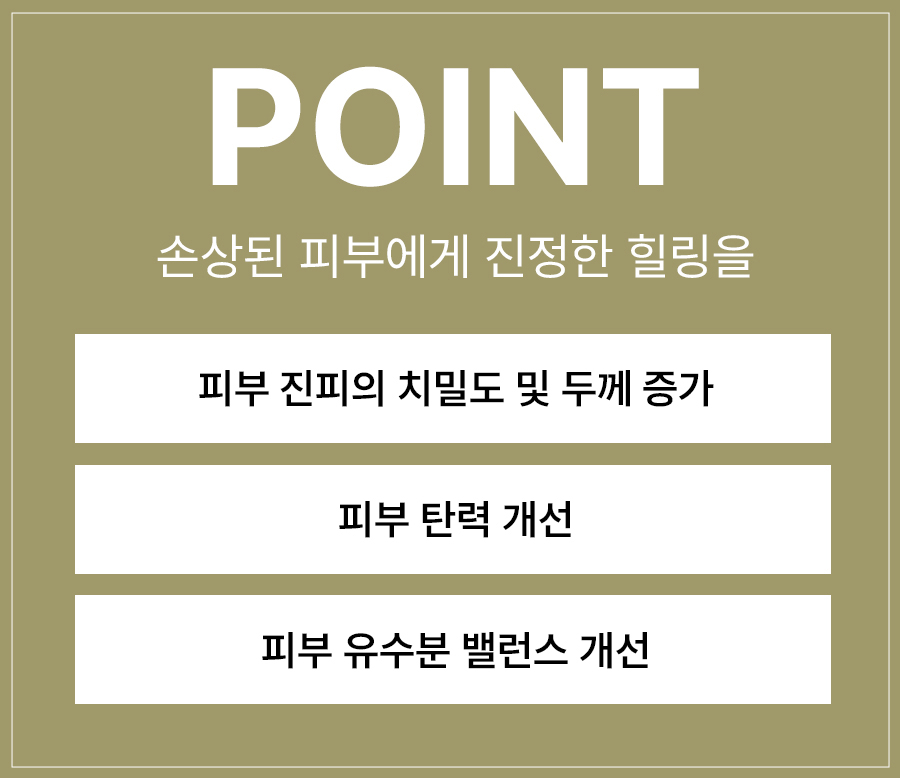 본문 내용을 보조하는 이미지