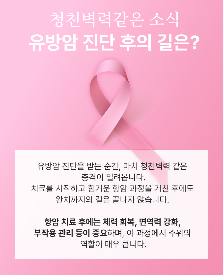 본문 내용을 보조하는 이미지
