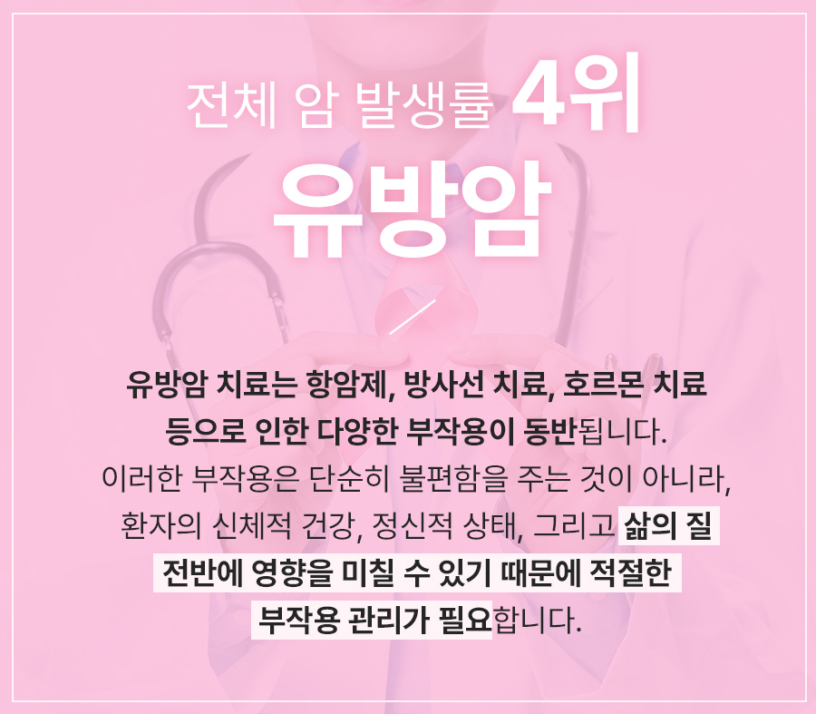 본문 내용을 보조하는 이미지