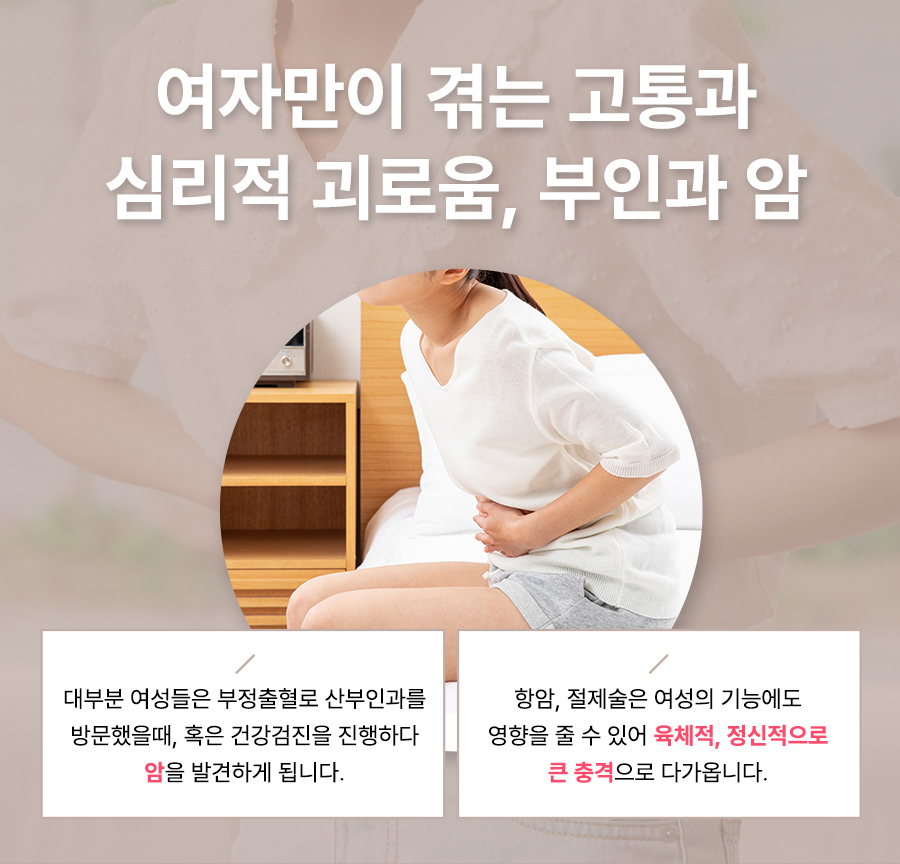 본문 내용을 보조하는 이미지