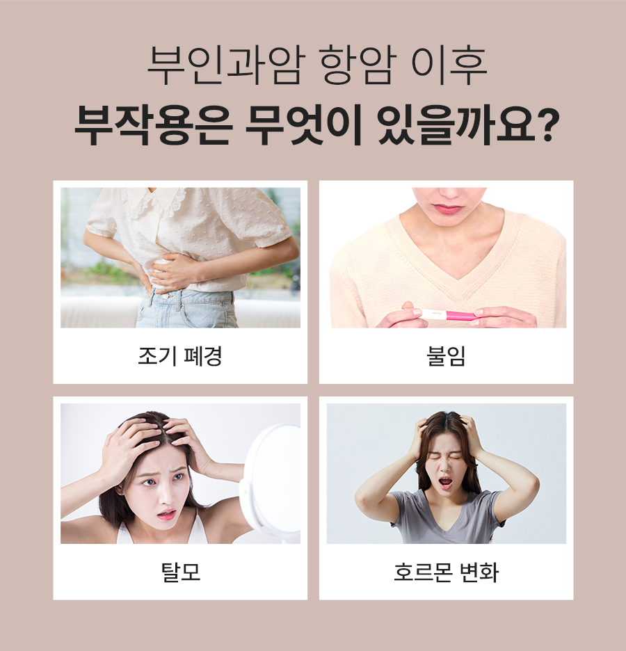 본문 내용을 보조하는 이미지