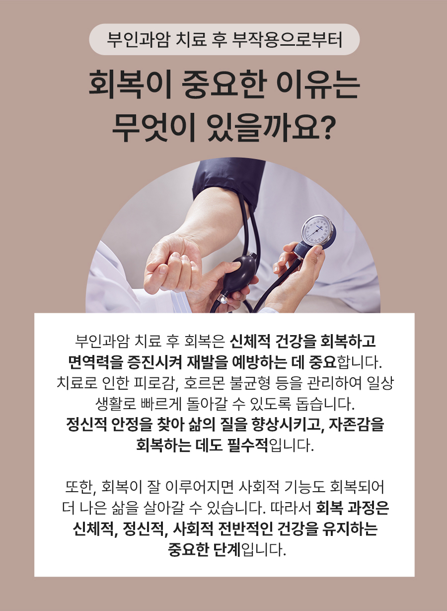 본문 내용을 보조하는 이미지