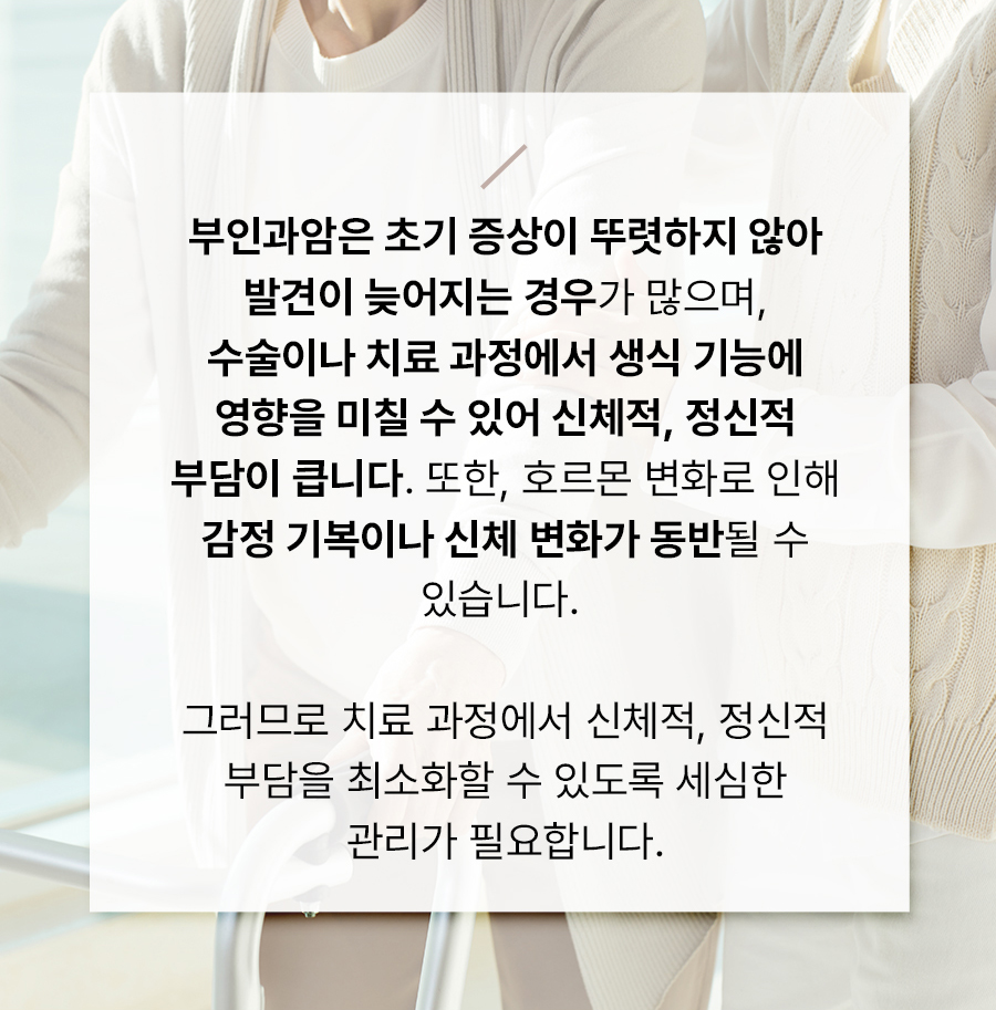 본문 내용을 보조하는 이미지