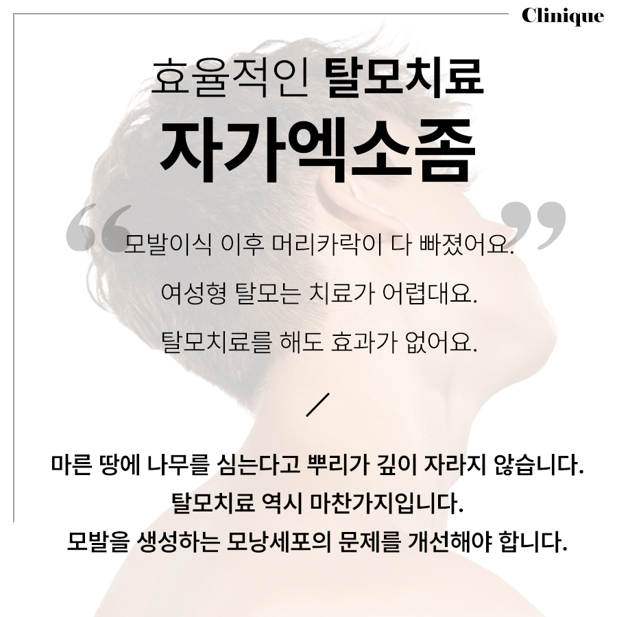 본문 내용을 보조하는 이미지