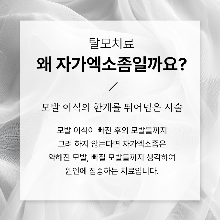 본문 내용을 보조하는 이미지