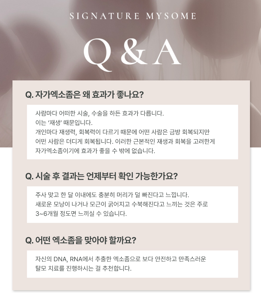 본문 내용을 보조하는 이미지