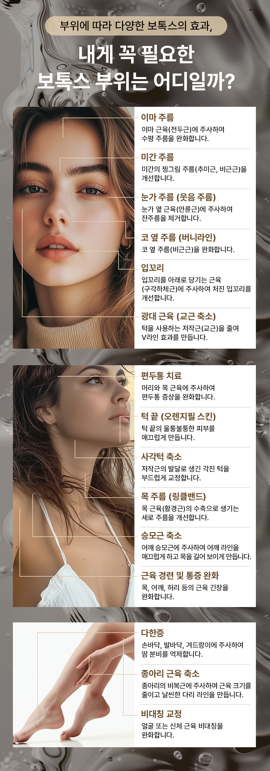 본문 내용을 보조하는 이미지