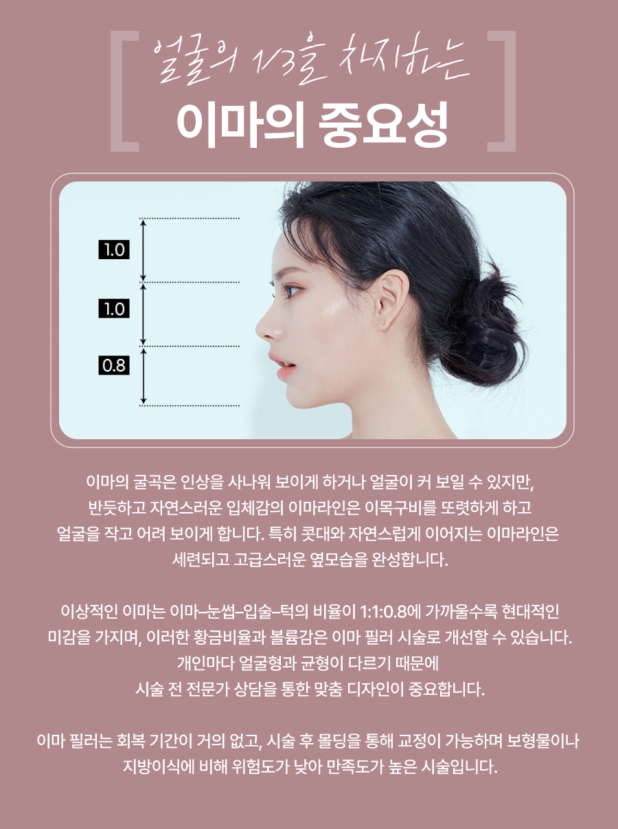 본문 내용을 보조하는 이미지