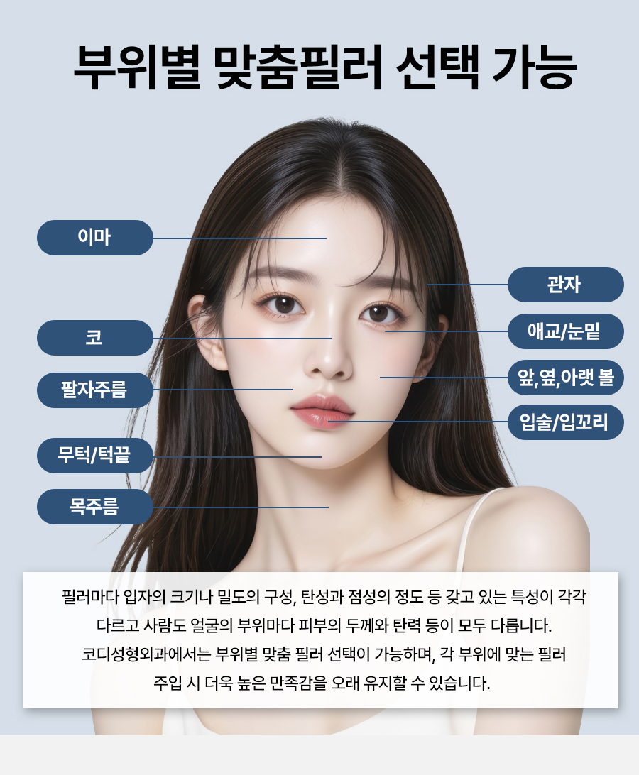본문 내용을 보조하는 이미지