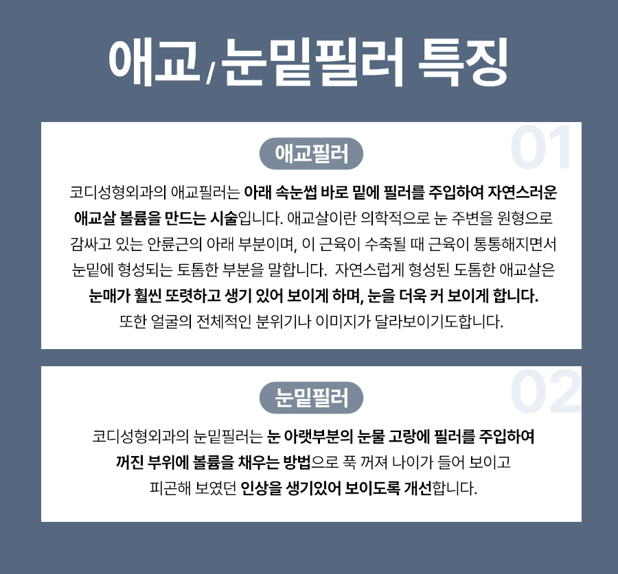 본문 내용을 보조하는 이미지
