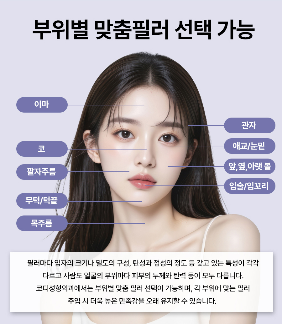본문 내용을 보조하는 이미지