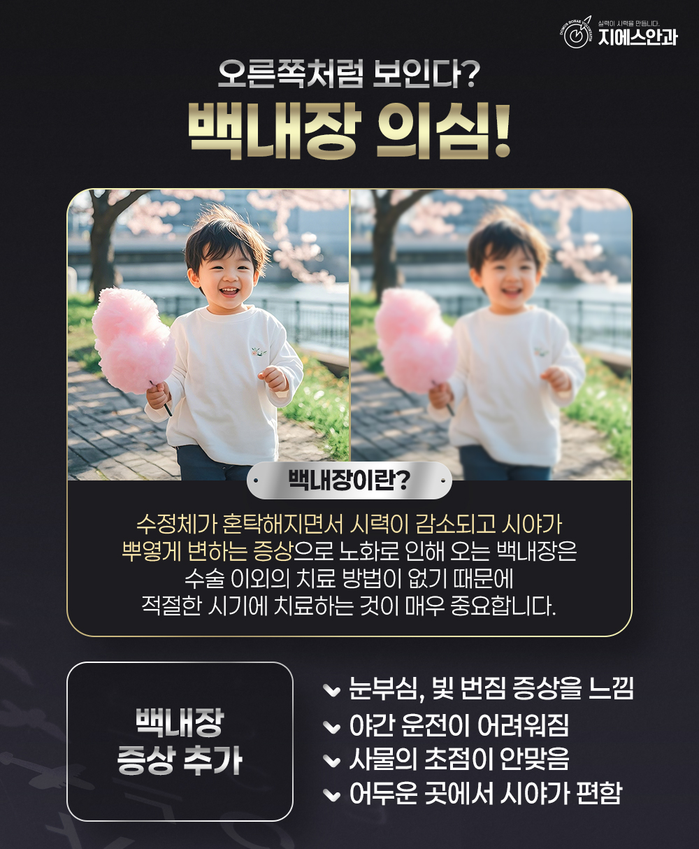 본문 내용을 보조하는 이미지
