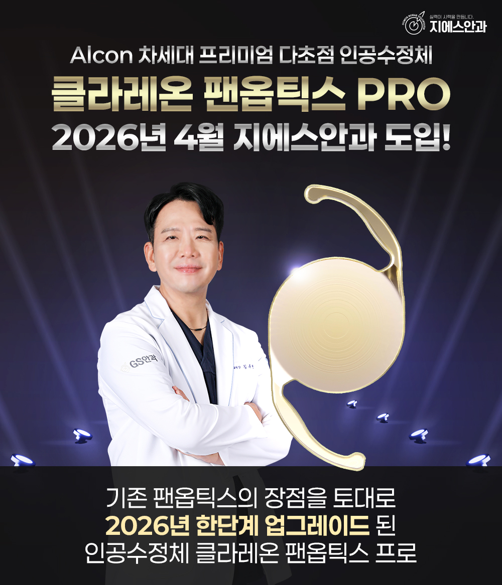 본문 내용을 보조하는 이미지