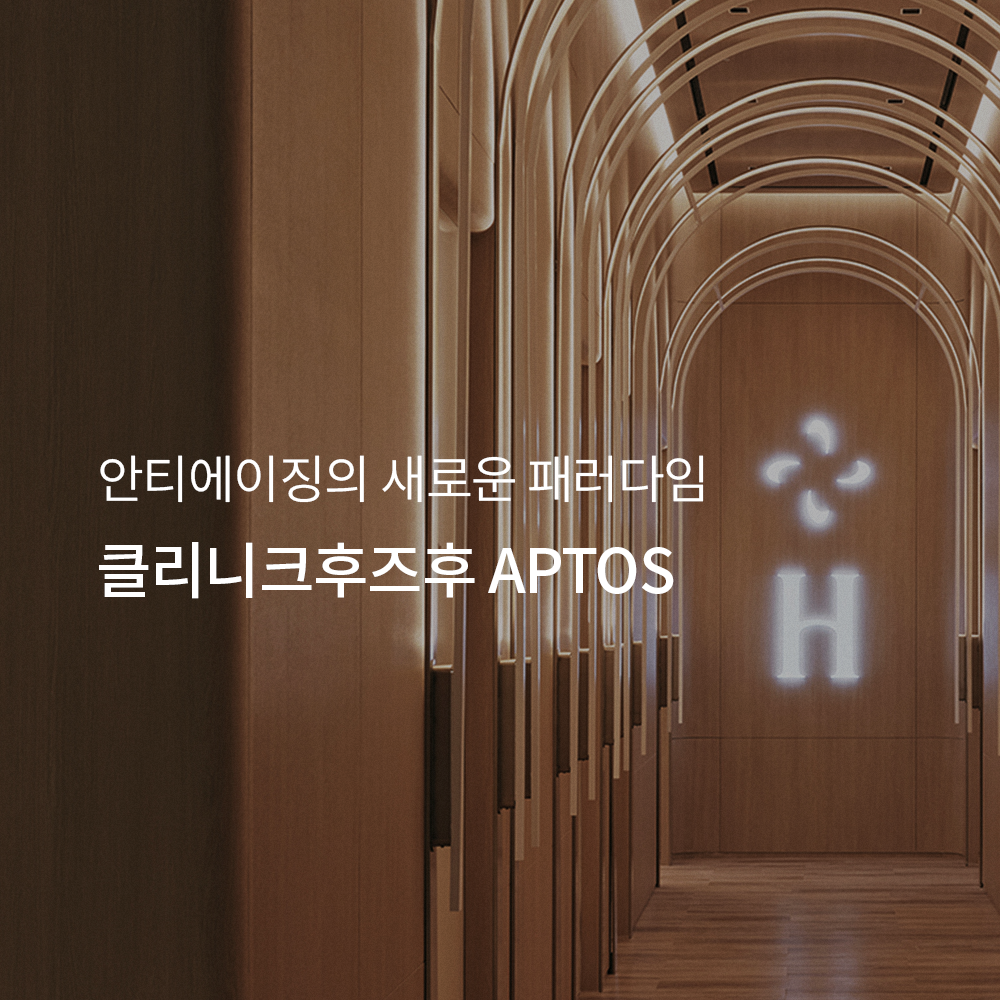 본문 내용을 보조하는 이미지