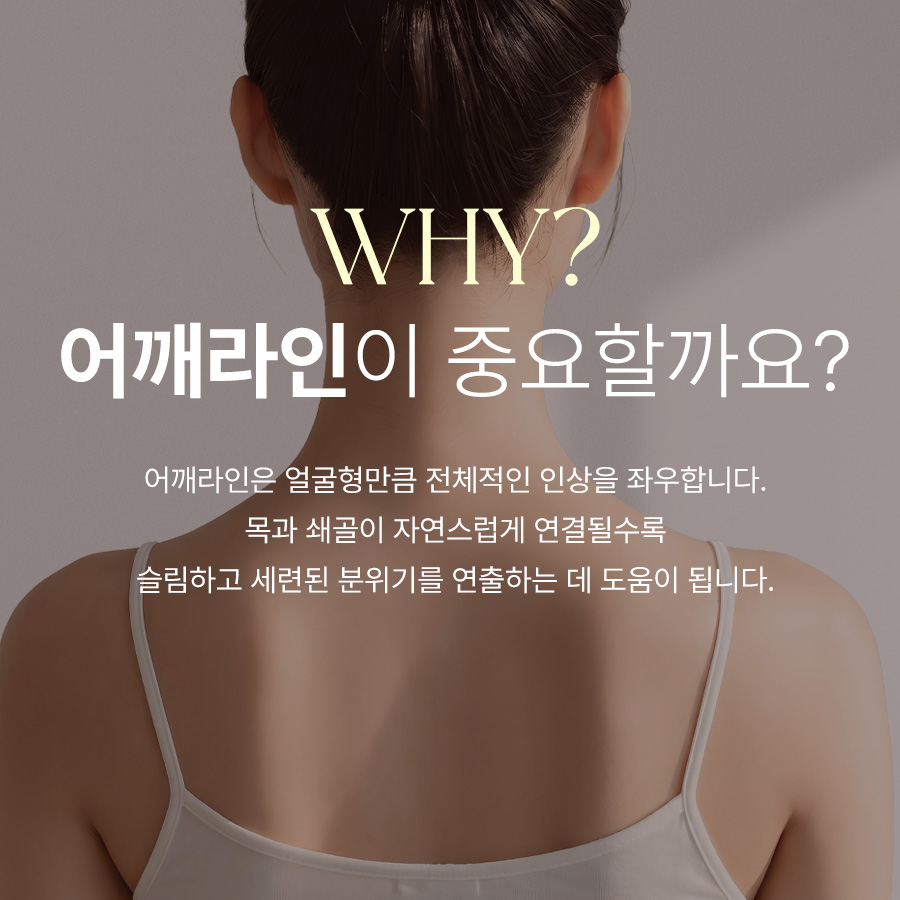본문 내용을 보조하는 이미지