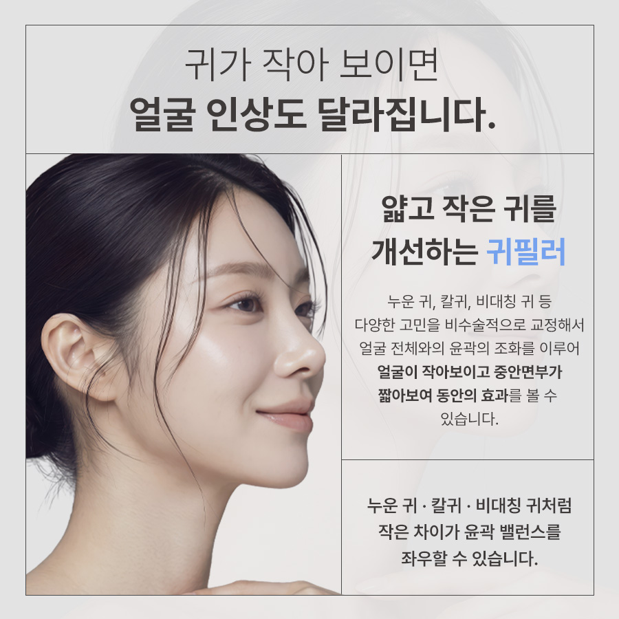 본문 내용을 보조하는 이미지
