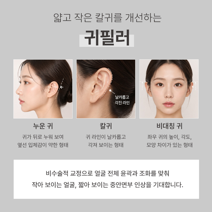 본문 내용을 보조하는 이미지