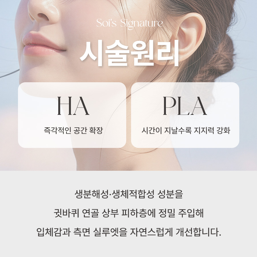 본문 내용을 보조하는 이미지