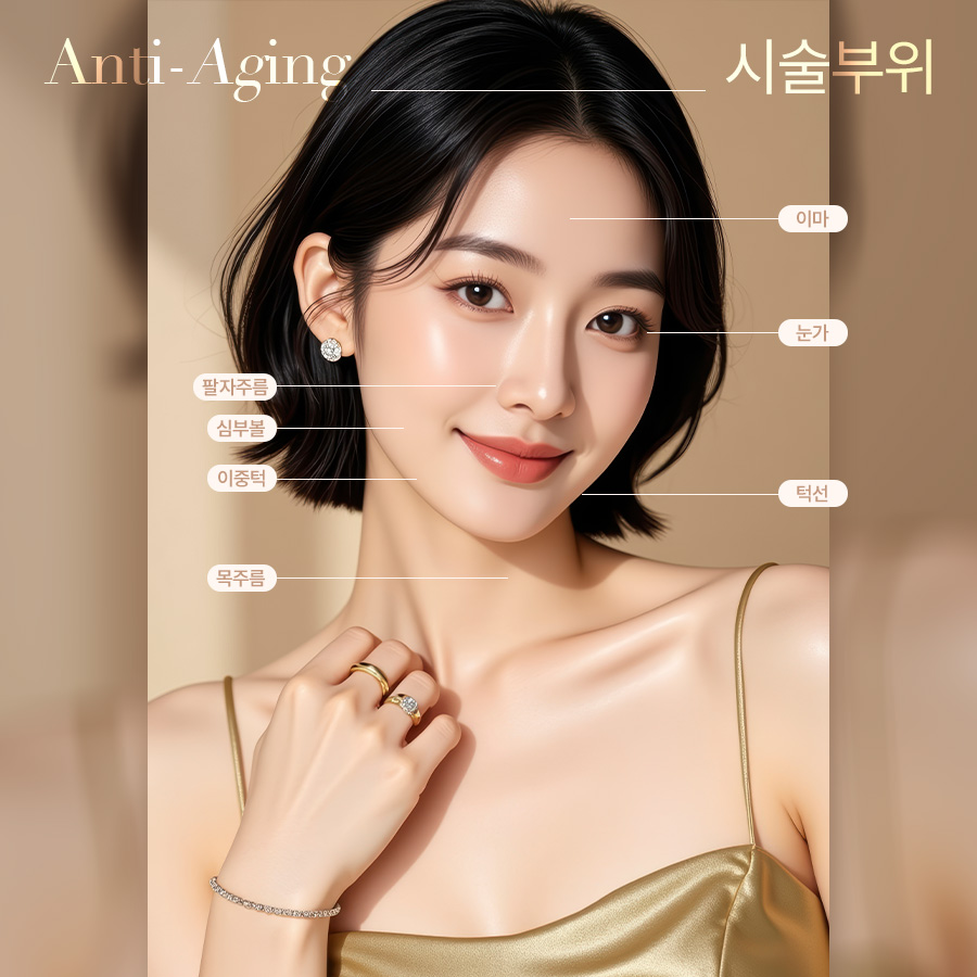 본문 내용을 보조하는 이미지