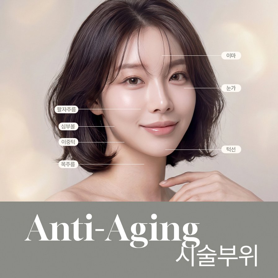 본문 내용을 보조하는 이미지