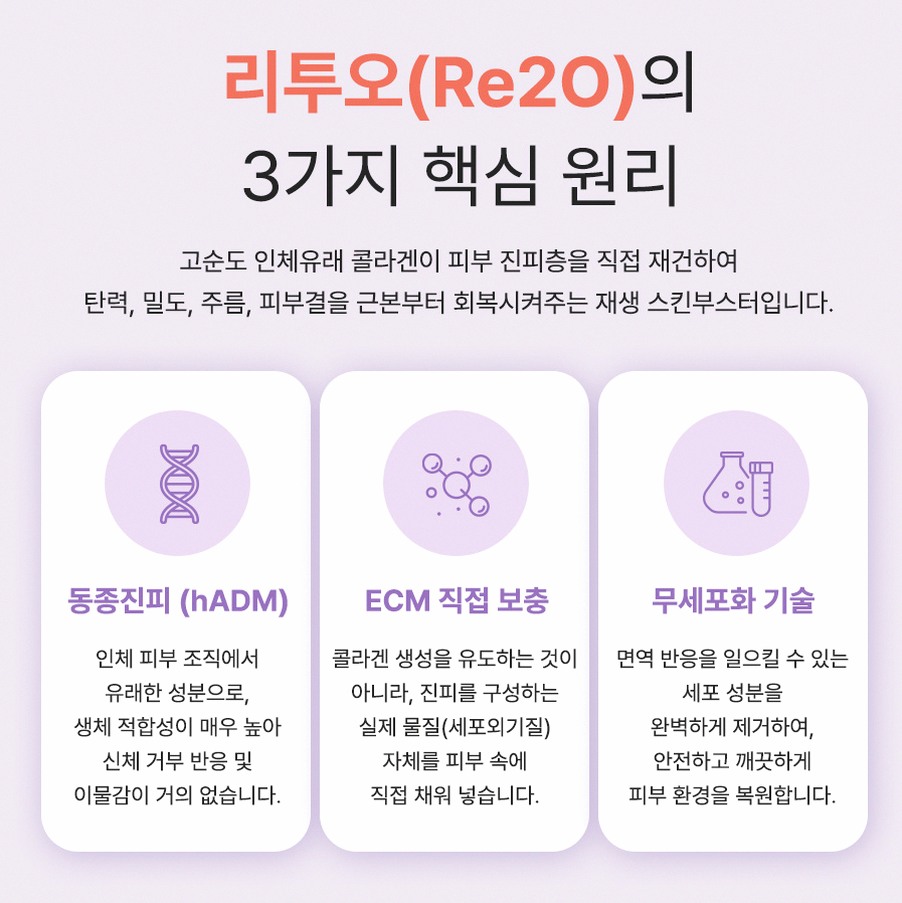 본문 내용을 보조하는 이미지