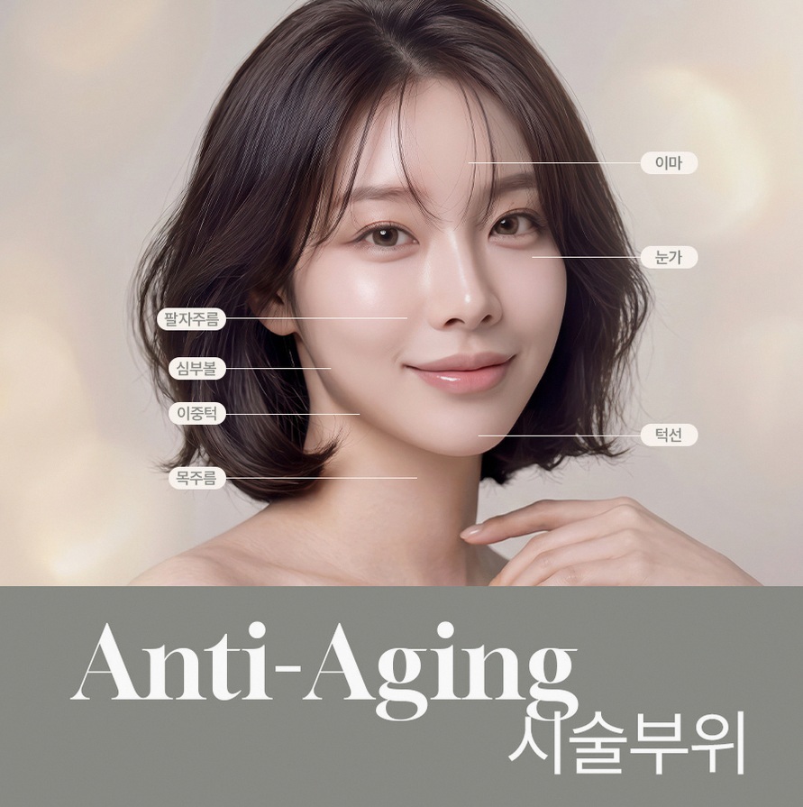 본문 내용을 보조하는 이미지