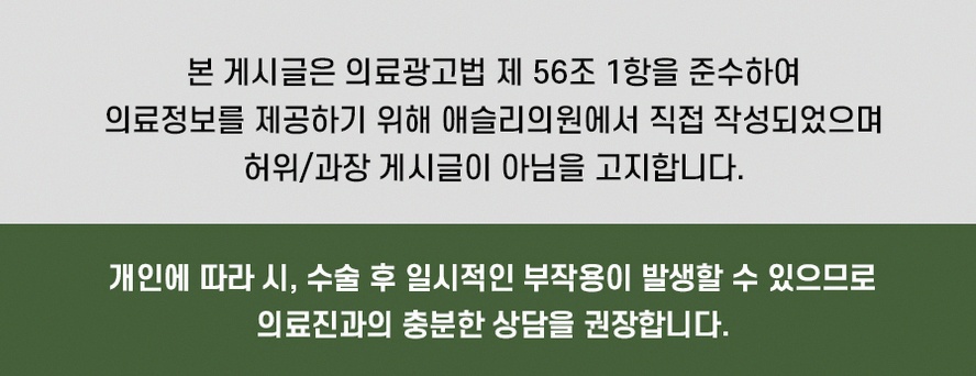 본문 내용을 보조하는 이미지
