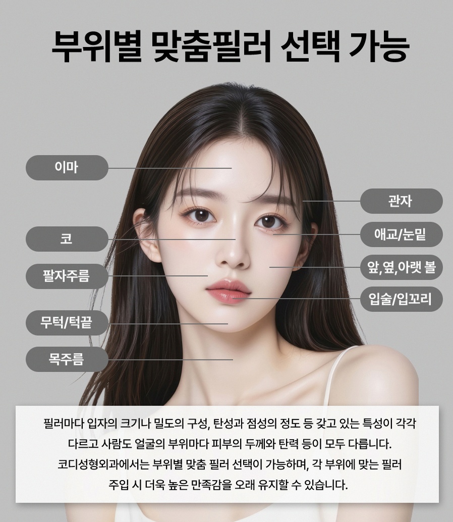 본문 내용을 보조하는 이미지