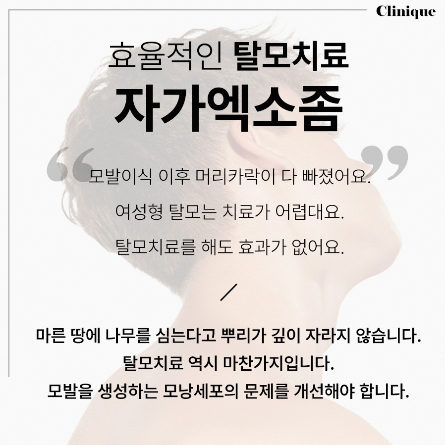 본문 내용을 보조하는 이미지