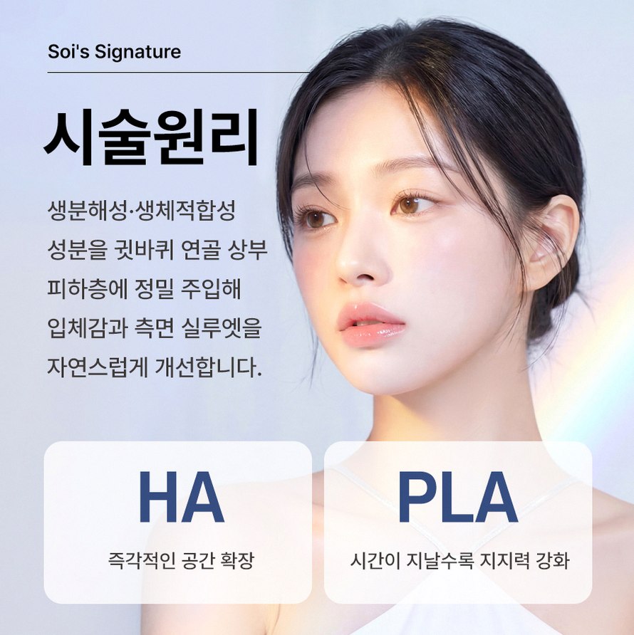 본문 내용을 보조하는 이미지