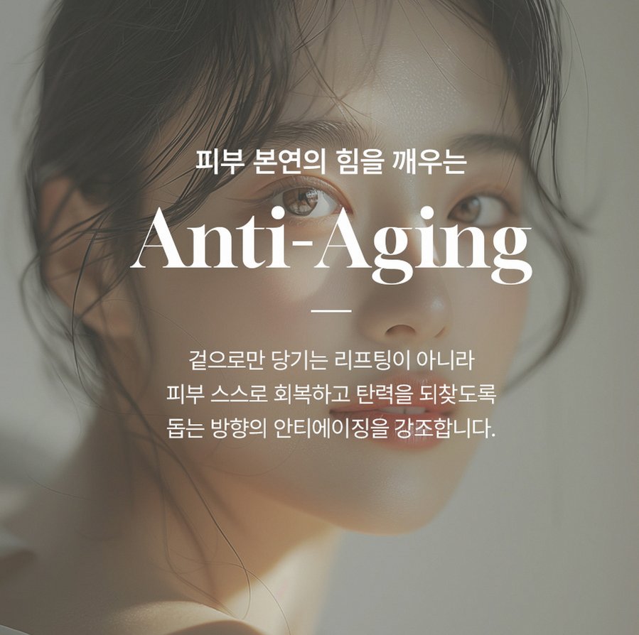 본문 내용을 보조하는 이미지