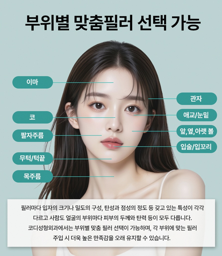 본문 내용을 보조하는 이미지