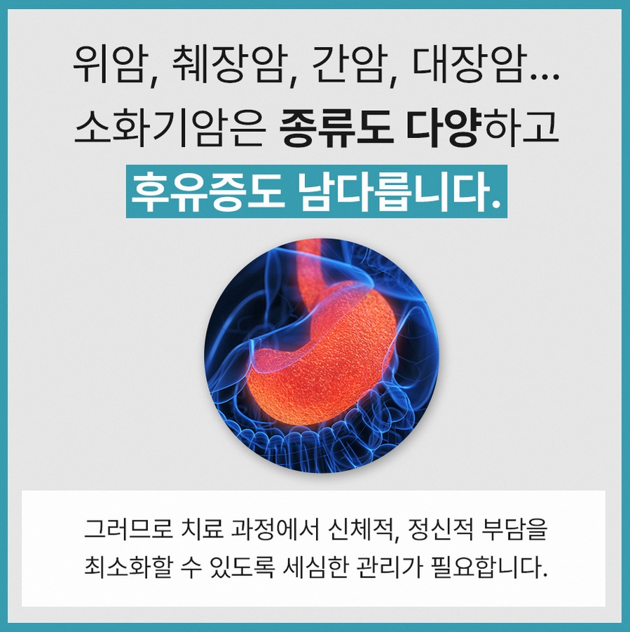 본문 내용을 보조하는 이미지