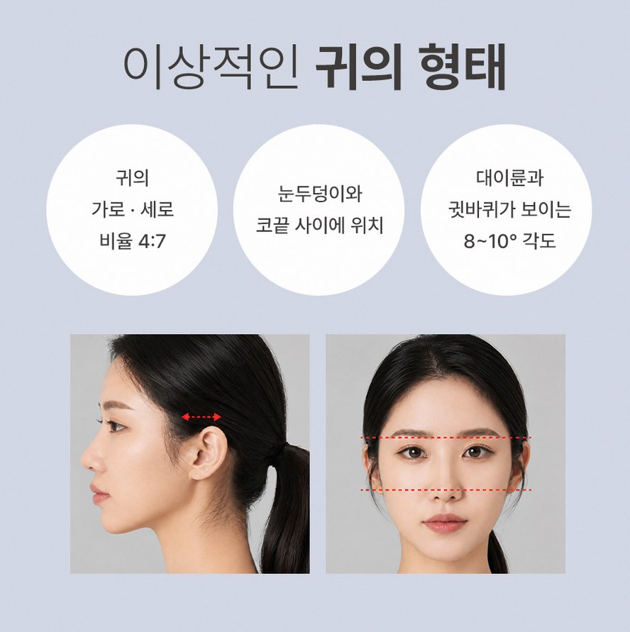 본문 내용을 보조하는 이미지