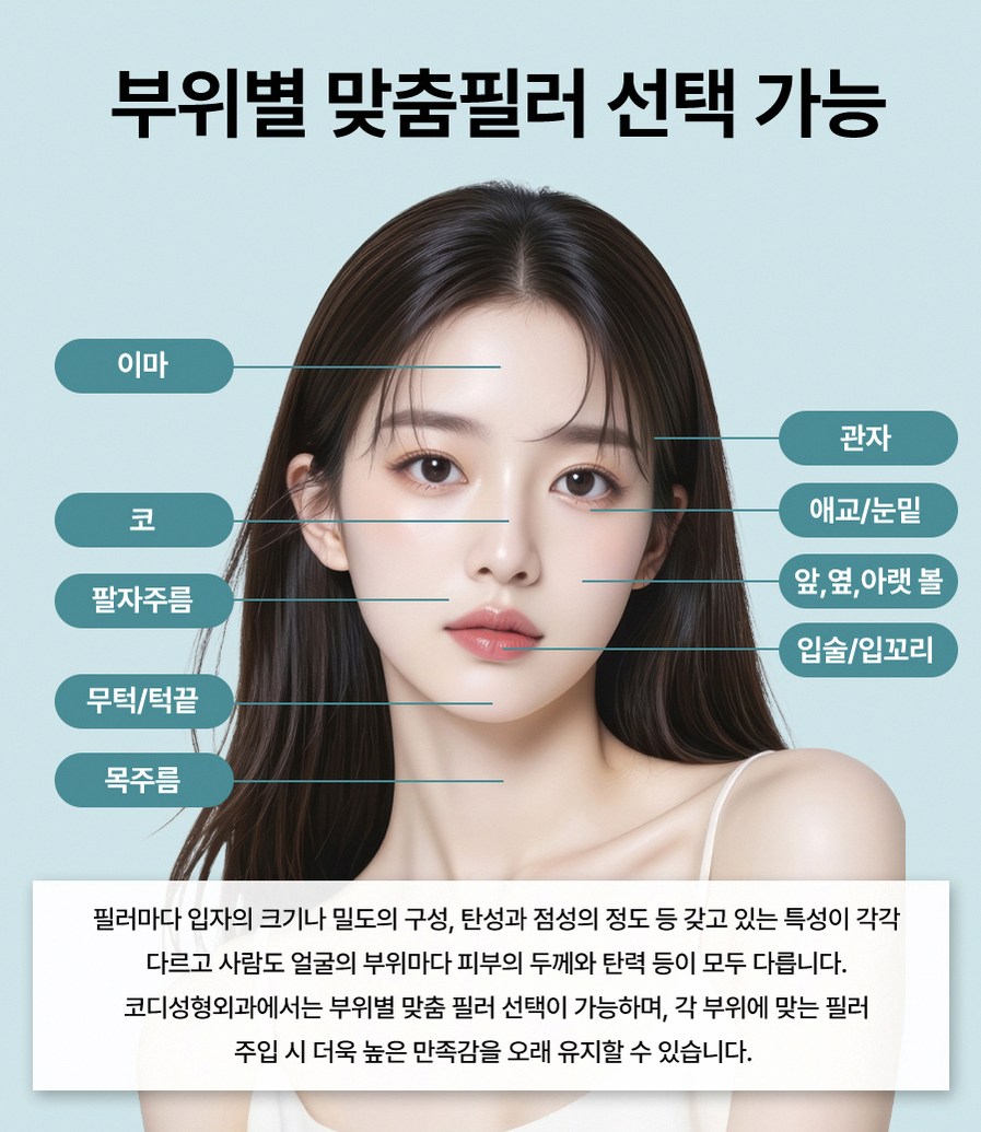 본문 내용을 보조하는 이미지