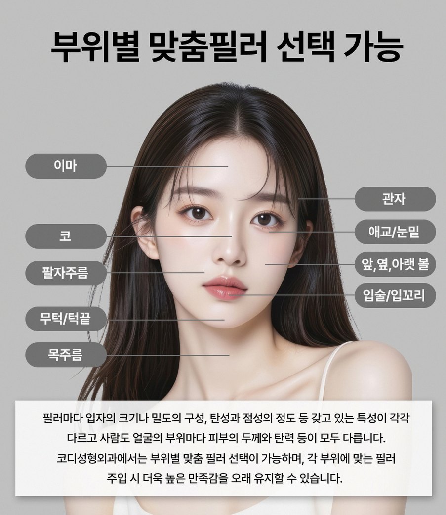 본문 내용을 보조하는 이미지
