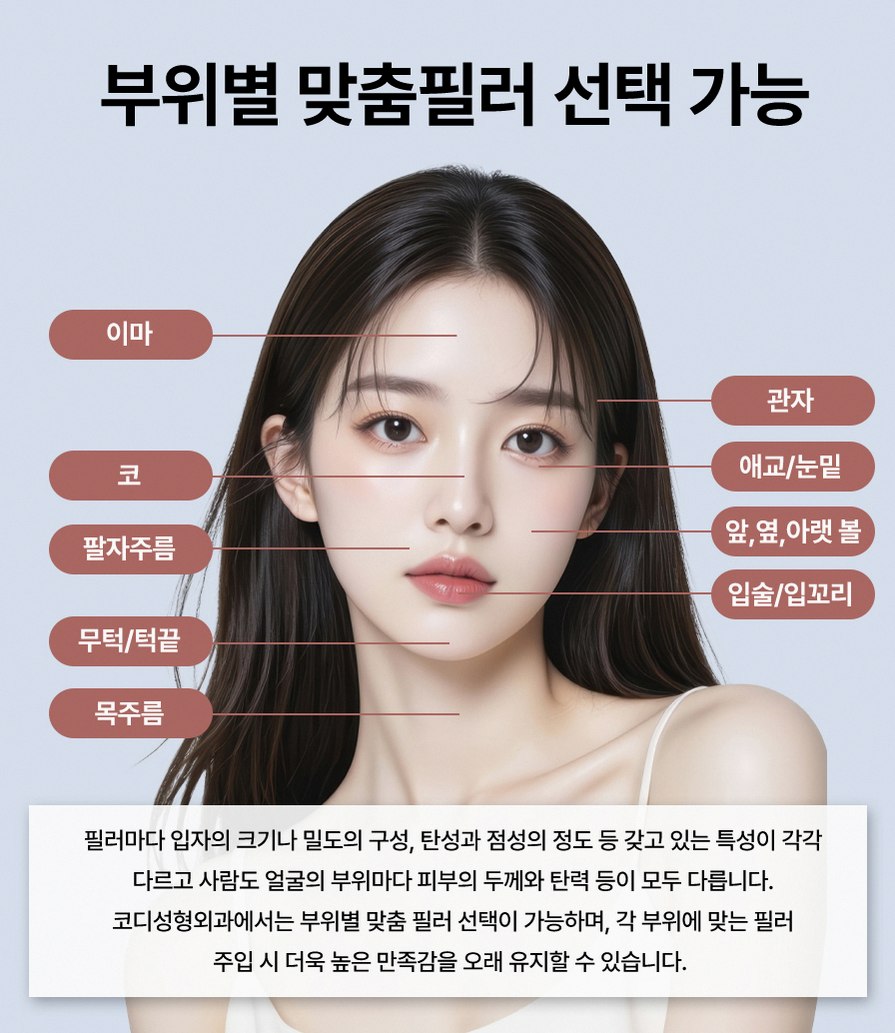 본문 내용을 보조하는 이미지