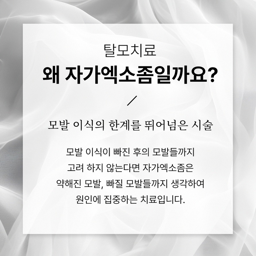 본문 내용을 보조하는 이미지