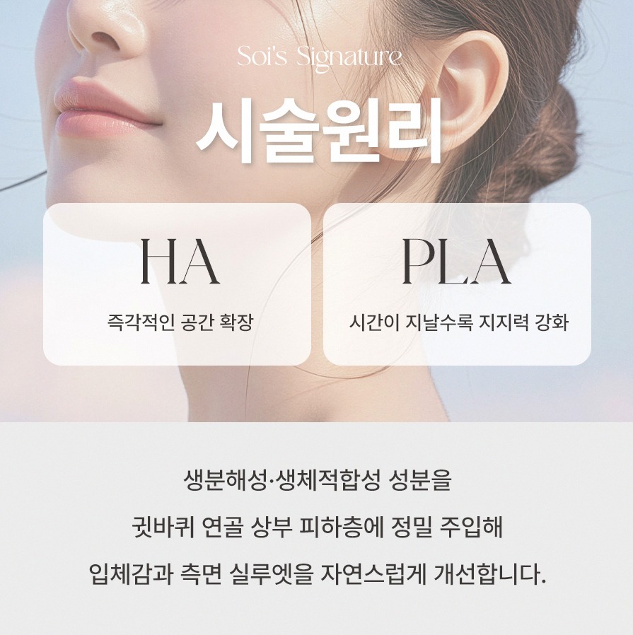 본문 내용을 보조하는 이미지