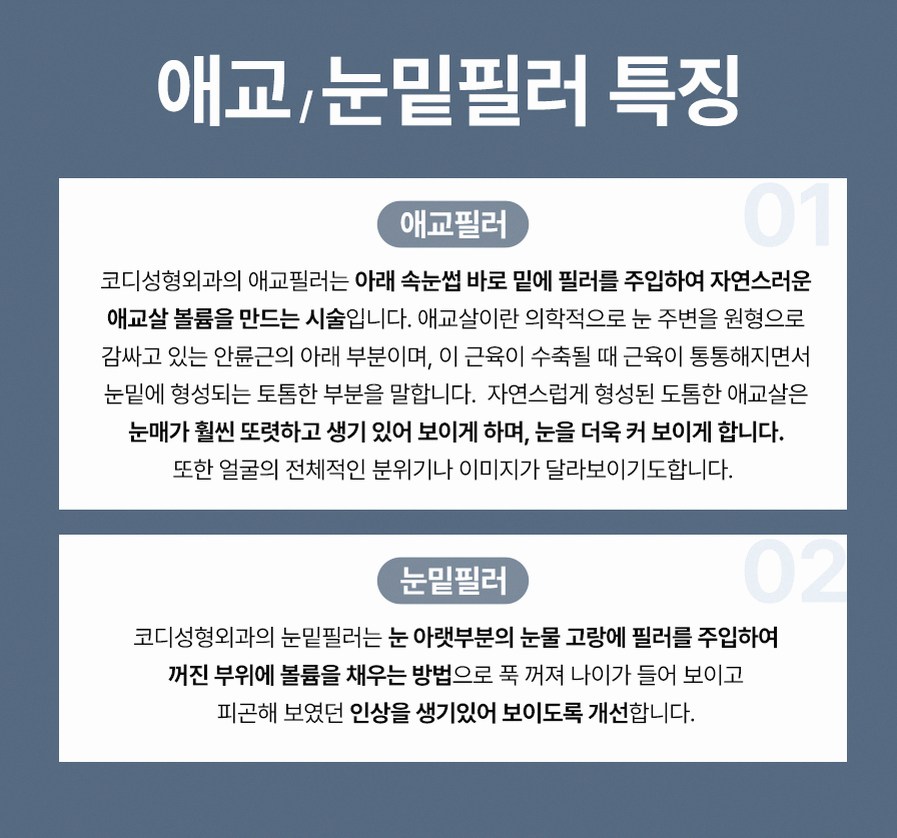 본문 내용을 보조하는 이미지