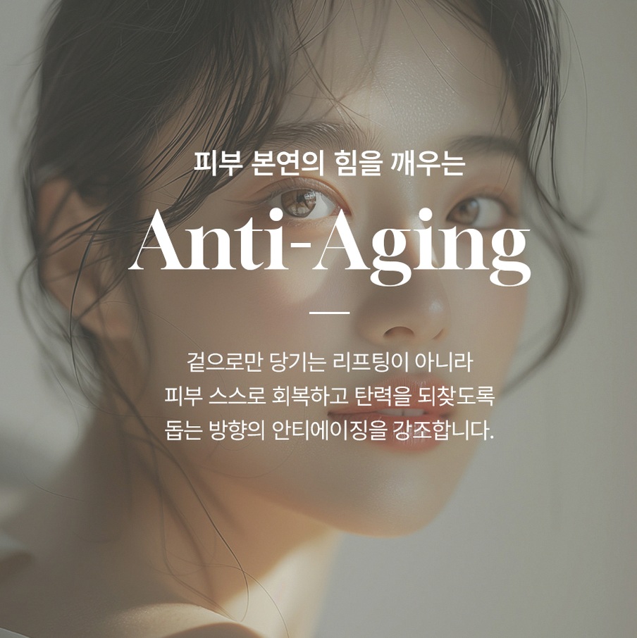 본문 내용을 보조하는 이미지