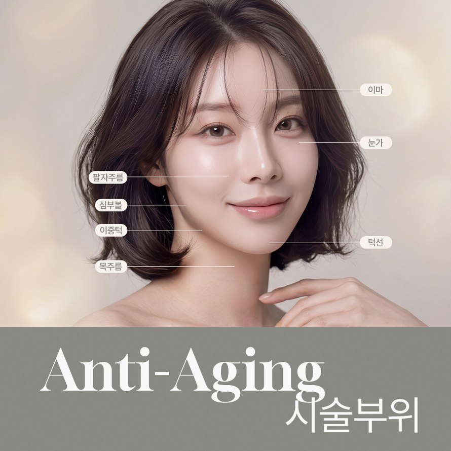 본문 내용을 보조하는 이미지
