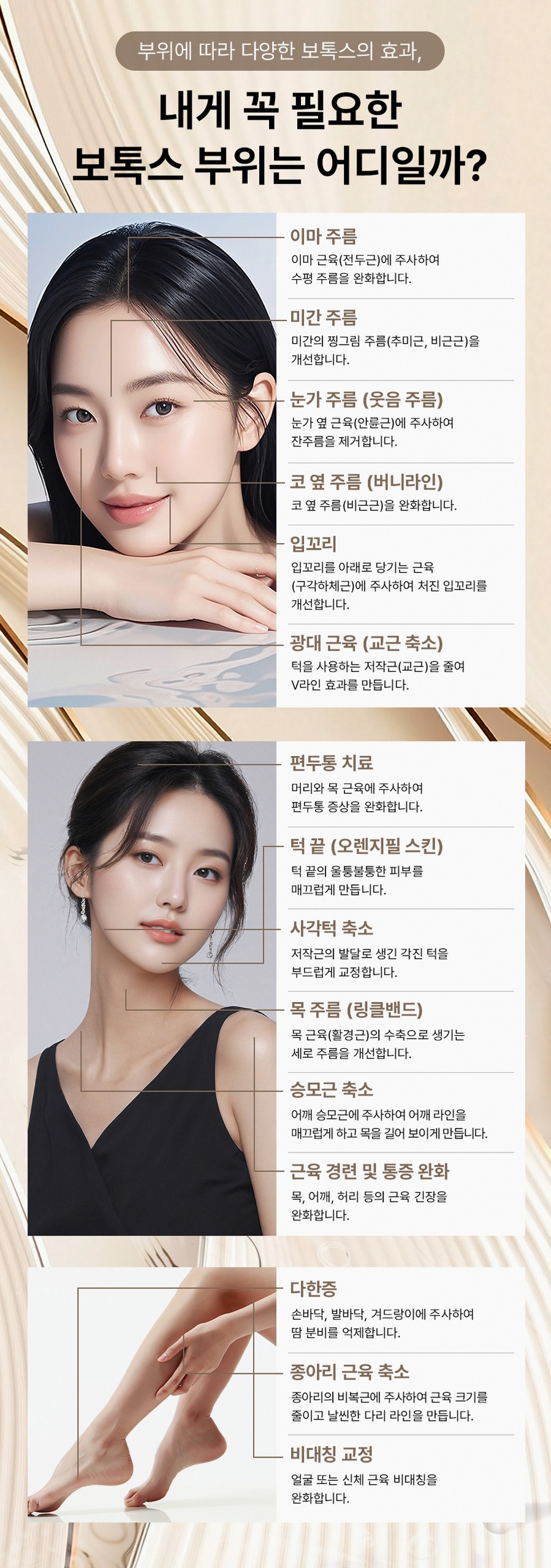본문 내용을 보조하는 이미지