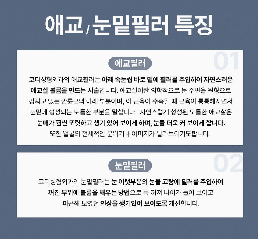 본문 내용을 보조하는 이미지