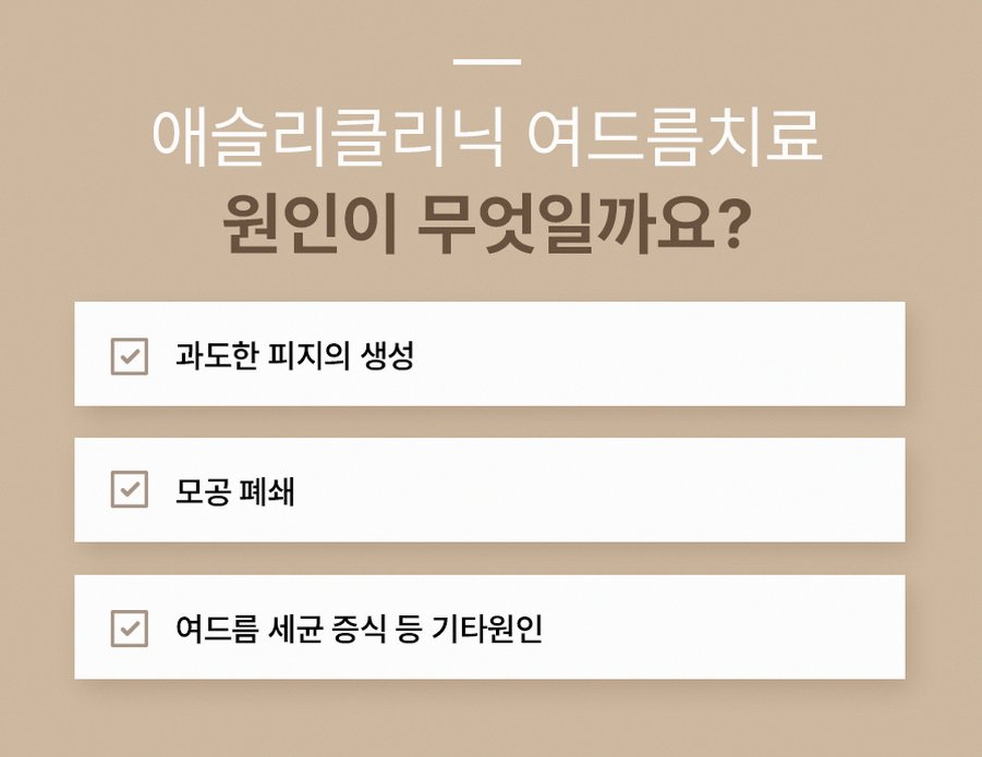 본문 내용을 보조하는 이미지