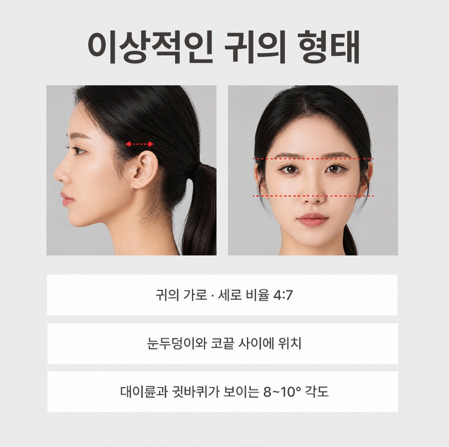 본문 내용을 보조하는 이미지