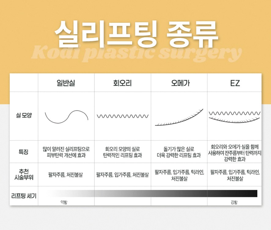 본문 내용을 보조하는 이미지