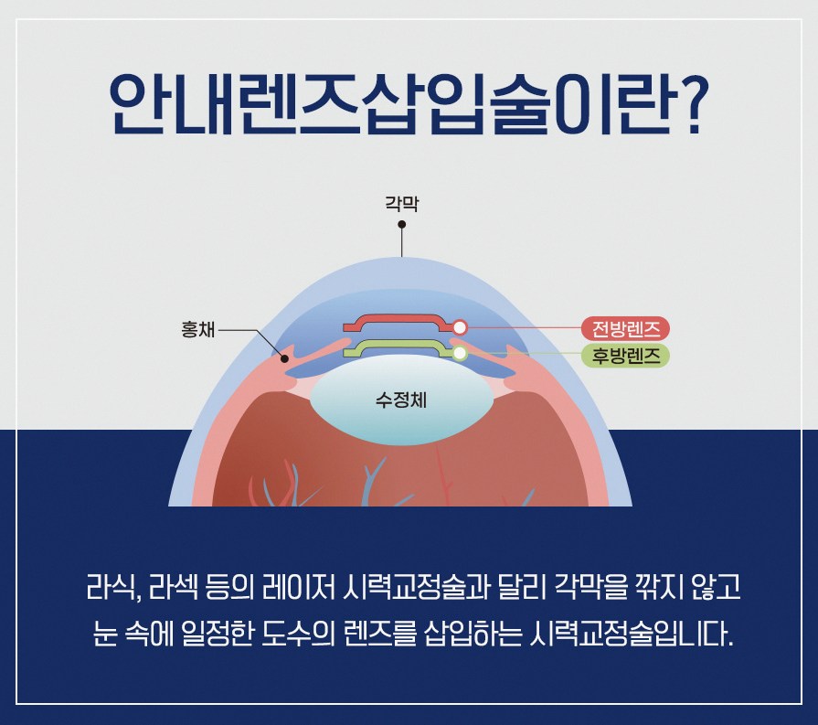 활동별 생활 제한 완화 흐름