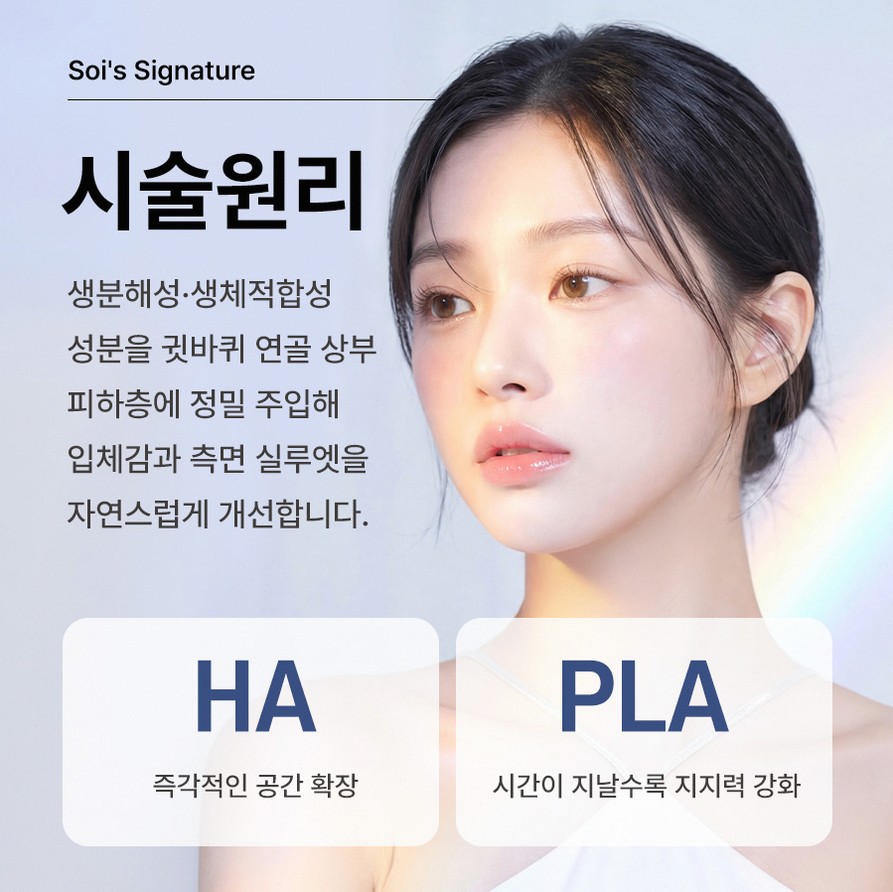 본문 내용을 보조하는 이미지