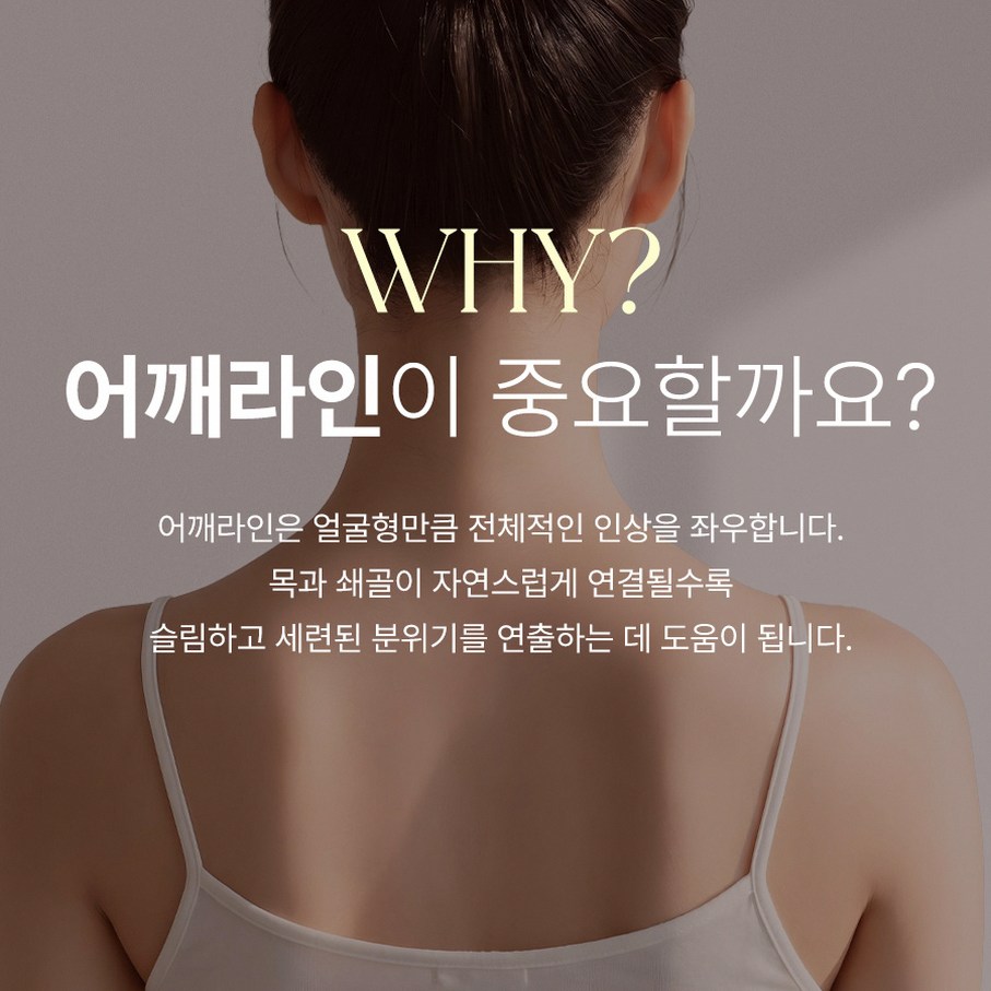 본문 내용을 보조하는 이미지